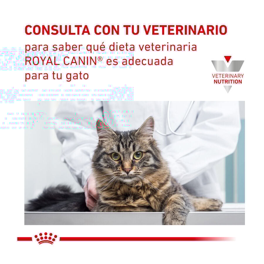 12 saquetas x 85 g Royal Canin Adult Veterinary Urinary pat&eacute; sobre para gatos, , large Imagem n&uacute;mero 7