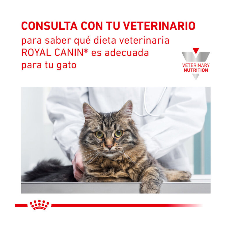 Royal Canin Adult Veterinary Urinary paté sobre para gatos, , large image number null