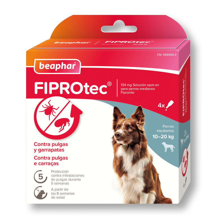 Beaphar FiproTec Pipetas Antiparasit&aacute;rias para c&atilde;es de ra&ccedil;a pequena, , large Imagem n&uacute;mero 1