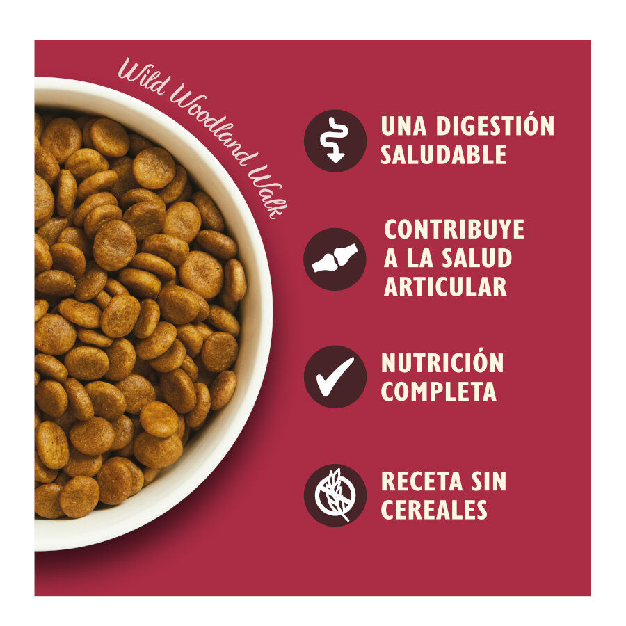 12 kg Lily's Kitchen Adult Veado e Pato ra&ccedil;&atilde;o para c&atilde;es, , large Imagem n&uacute;mero 3