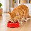 Leeby Comedouro de Pl&aacute;stico Vermelho para c&atilde;es e gatos, , large Indicador imagem n&uacute;mero 1