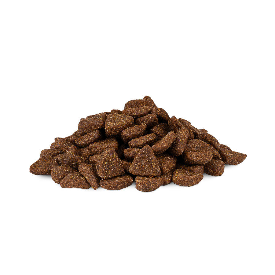 Weego Low Grain Ra&ccedil;&atilde;o de salm&atilde;o e arroz para c&atilde;es, , large Imagem n&uacute;mero 2