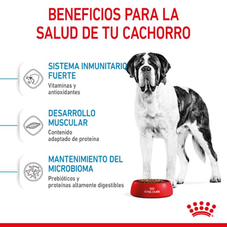 Royal Canin Junior Giant ração para cães, , large image number null