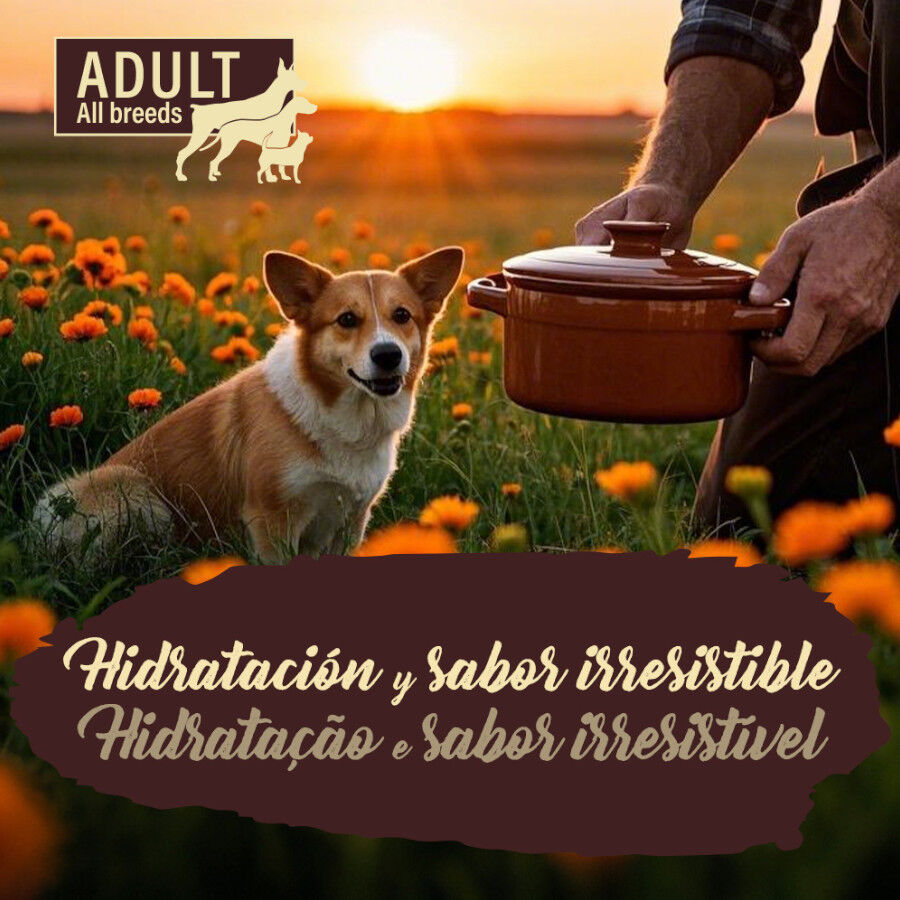 300 g True Origins Pure Gently Coocked Pollo sobre para perros, , large Imagem n&uacute;mero 5