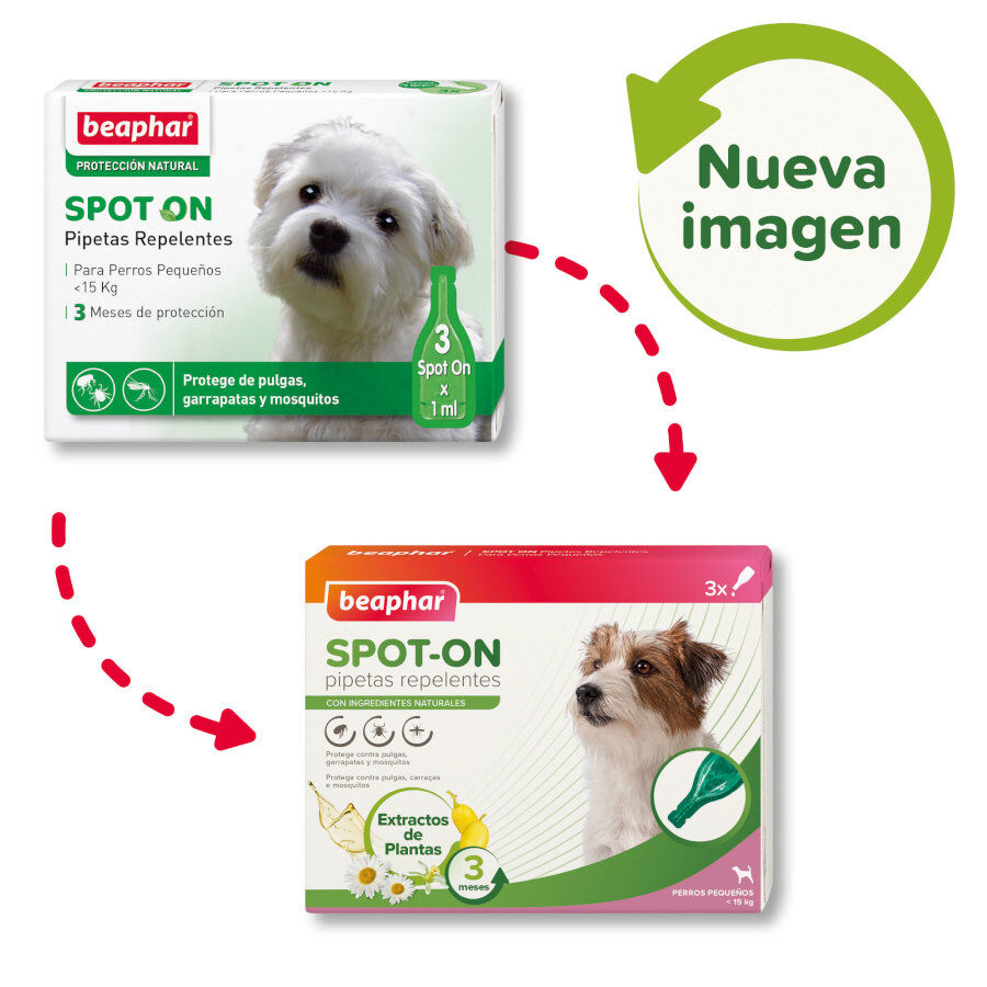 Beaphar Pipetas Repelentes para c&atilde;es, , large Imagem n&uacute;mero 2