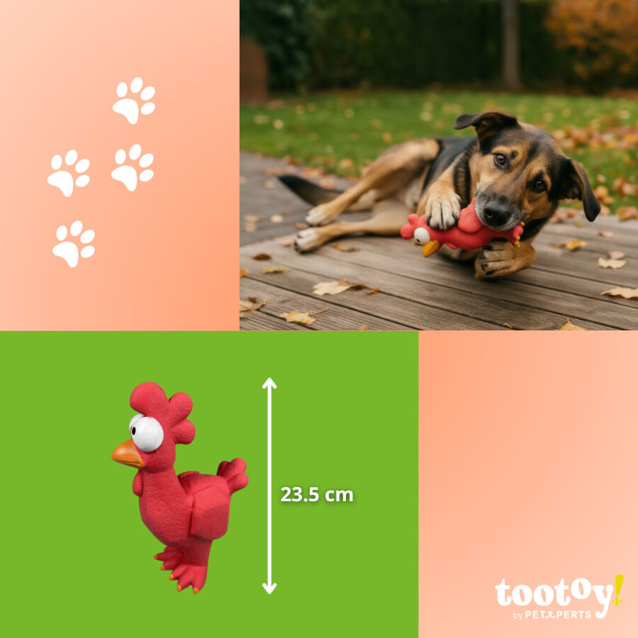 Tootoy! Chew Brinquedo galinha divertida para c&atilde;es, , large Imagem n&uacute;mero 4