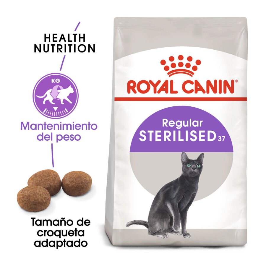 12 kg (10 + 2 kg gr&aacute;tis!) Royal Canin Regular Sterilised 37 ra&ccedil;&atilde;o para gatos, , large Imagem n&uacute;mero 2
