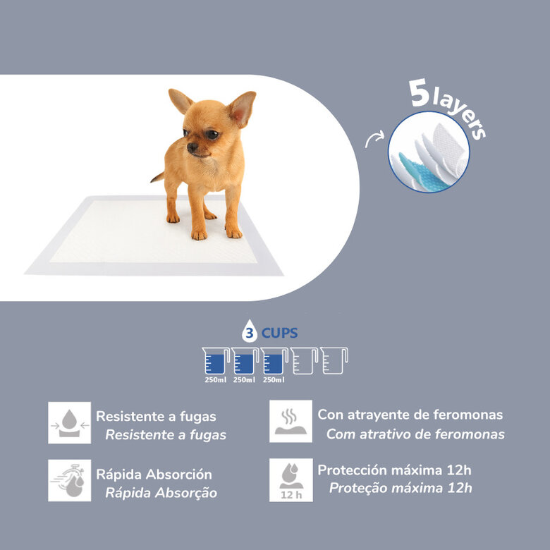 Nice Care Resguardos para cães,  Imagem número 2 Nice Care Resguardos para cães, , large Imagem número 2