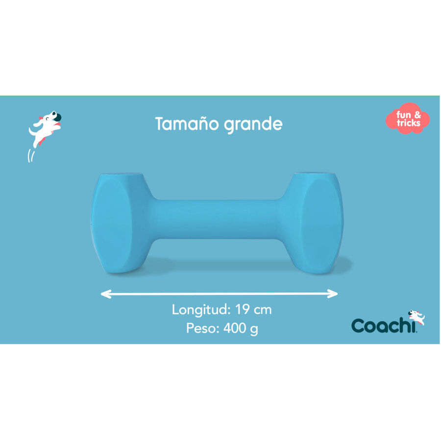 Coachi Halter de brinquedo azul-claro grande para c&atilde;es, , large Imagem n&uacute;mero 3