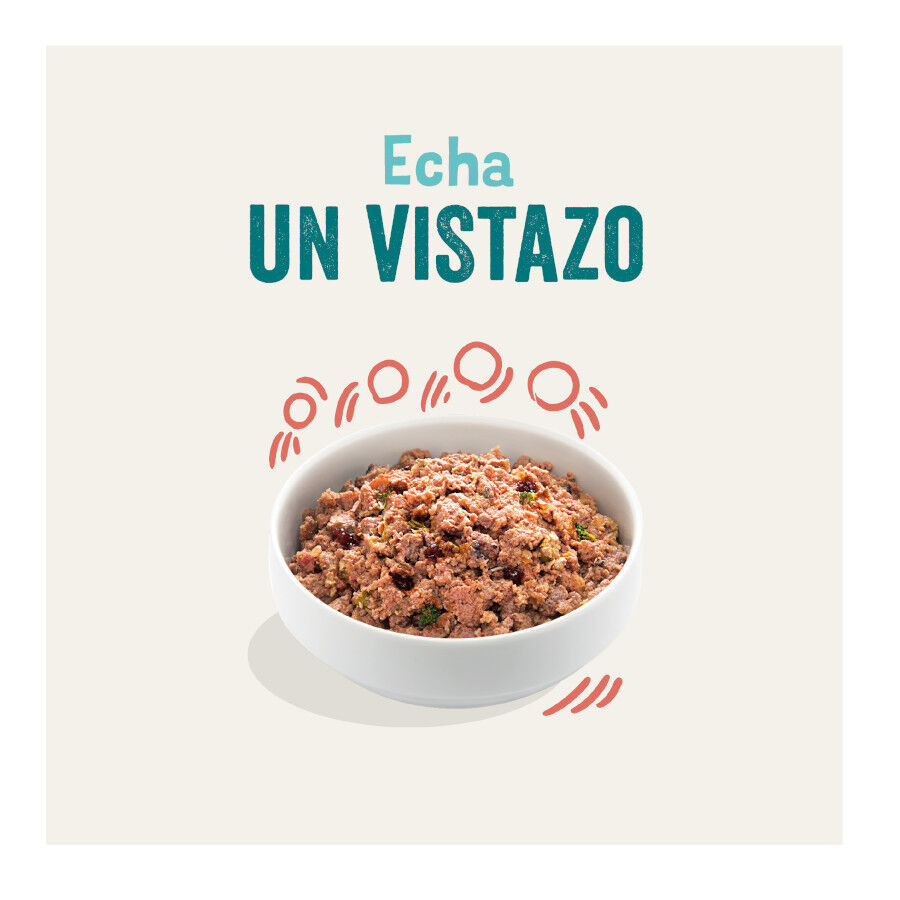 400 g Lata Edgard y Cooper Senior Frango e Salm&atilde;o lata para c&atilde;es, , large Imagem n&uacute;mero 3