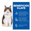 7 kg Hill's Adult Science Plan Perfect Digestion Frango ração para gatos, , large Indicador imagem número 3