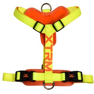 X-TRM Cronos Neon Flash Peitoral Limão para cães