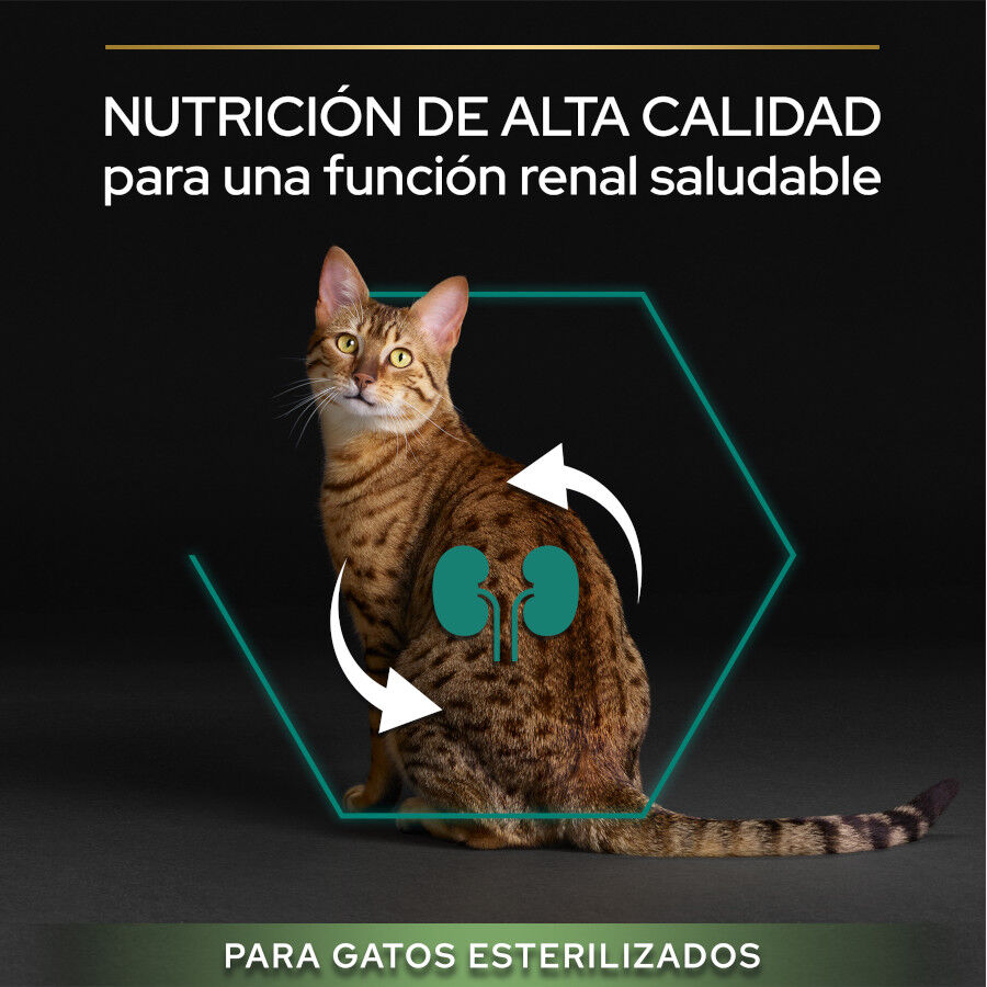 12 kg (10 + 2 kg gr&aacute;tis!) Pro Plan Adult Sterilized Peru ra&ccedil;&atilde;o para gatos, , large Imagem n&uacute;mero 5