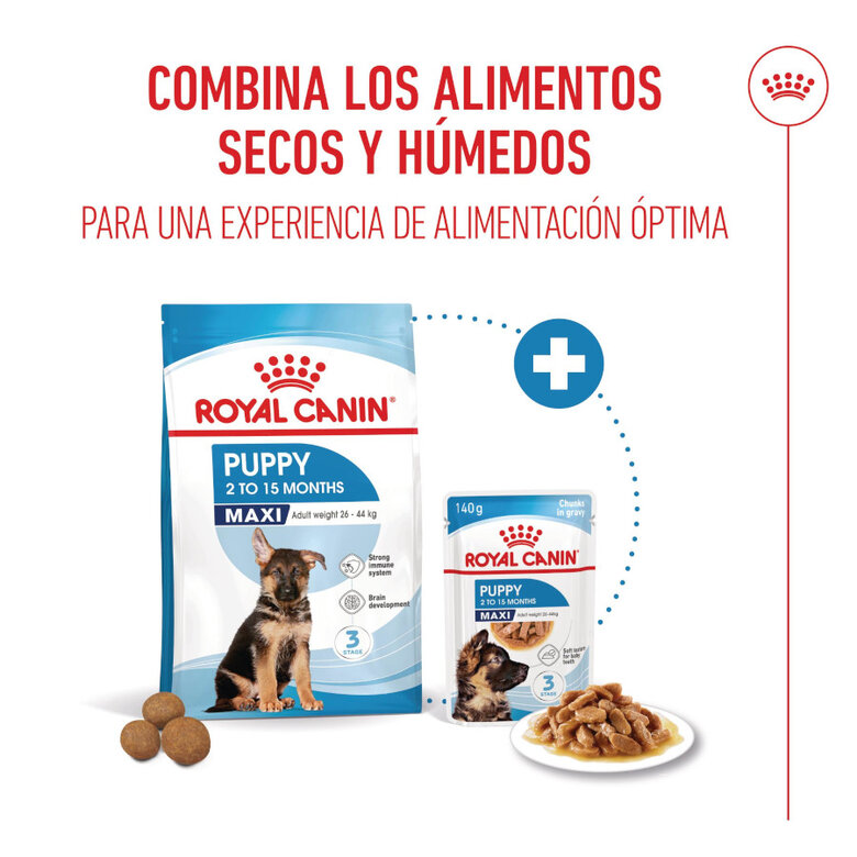 140 g Royal Canin Maxi Puppy Alimento húmido para cães,  Imagem número 5 140 g Royal Canin Maxi Puppy Alimento húmido para cães, , large Imagem número 5