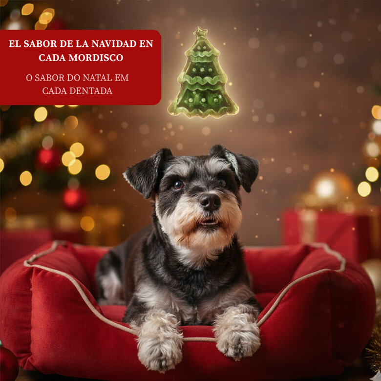 80 g Wonder Christmas Galleta Árbol de Navidad para perros,  Imagem número 4 80 g Wonder Christmas Galleta Árbol de Navidad para perros, , large Imagem número 4