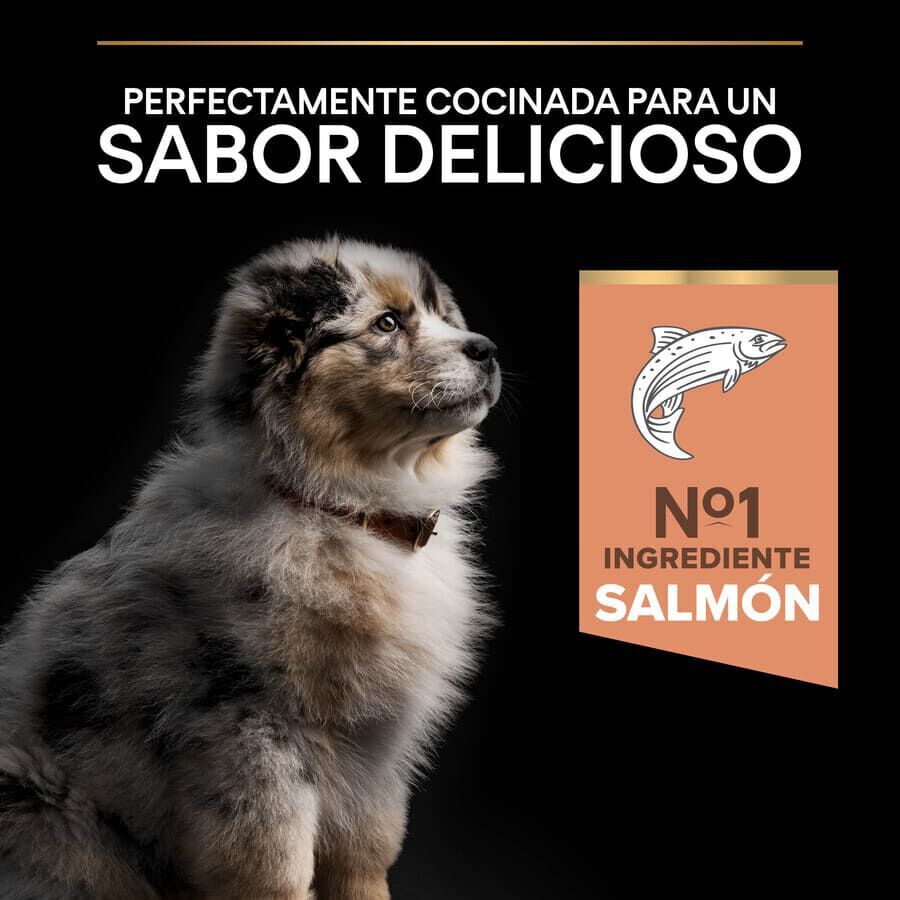 Pro Plan Puppy Medium Salm&atilde;o Peles Sens&iacute;veis ra&ccedil;&atilde;o para cachorros, , large Imagem n&uacute;mero 7