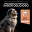 Pro Plan Puppy Medium Salmão Peles Sensíveis ração para cachorros, , large Indicador imagem número 7