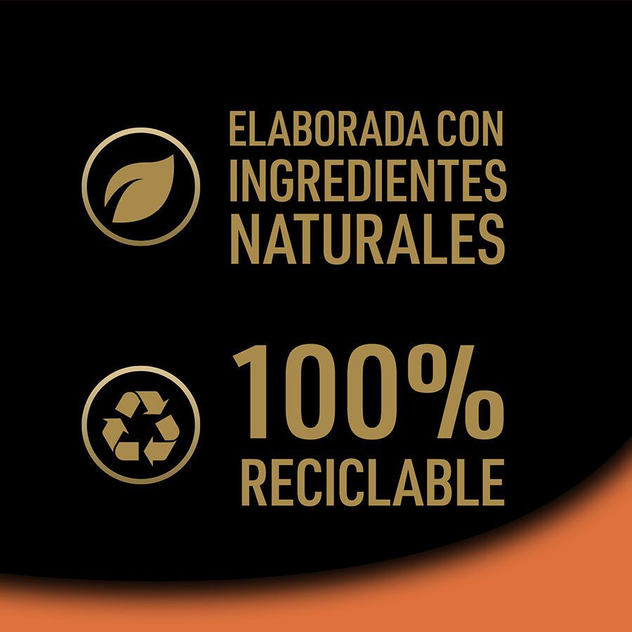 4 terrinas x 150 g Cesar Sele&ccedil;&atilde;o Cl&aacute;ssicos Terrina em Pat&ecirc; para C&atilde;es - Multipack, , large Imagem n&uacute;mero 7