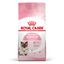 10 kg Royal Canin Mother & Baby ração para gatos, , large Indicador imagem número 1