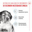 15 kg Royal Canin Puppy Medium ração para cães, , large Indicador imagem número 3