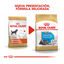 1.5 kg Royal Canin Puppy Miniature Schnauzer ração para cães , , large Indicador imagem número 4