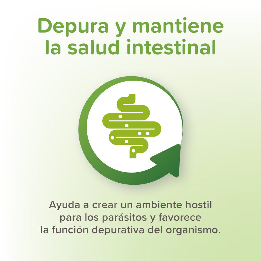 Beaphar Vermipure Repelente Interno Natural em comprimidos para c&atilde;es de porte m&eacute;dio e grande, , large Imagem n&uacute;mero 5