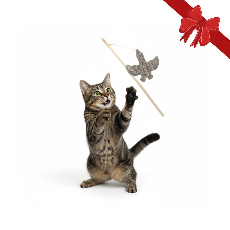 Wonder Christmas Vara com Brinquedo Pato de Natal para Gatos,  Imagem número 1 Wonder Christmas Vara com Brinquedo Pato de Natal para Gatos, , large Imagem número 1