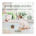 Schesir Adult Small&Toy Natural Selection Atum ração para cães, , large image number null