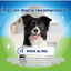 4 sticks Dentalife Snacks Dentários Large ActivFresh para cães , , large Indicador imagem número 4
