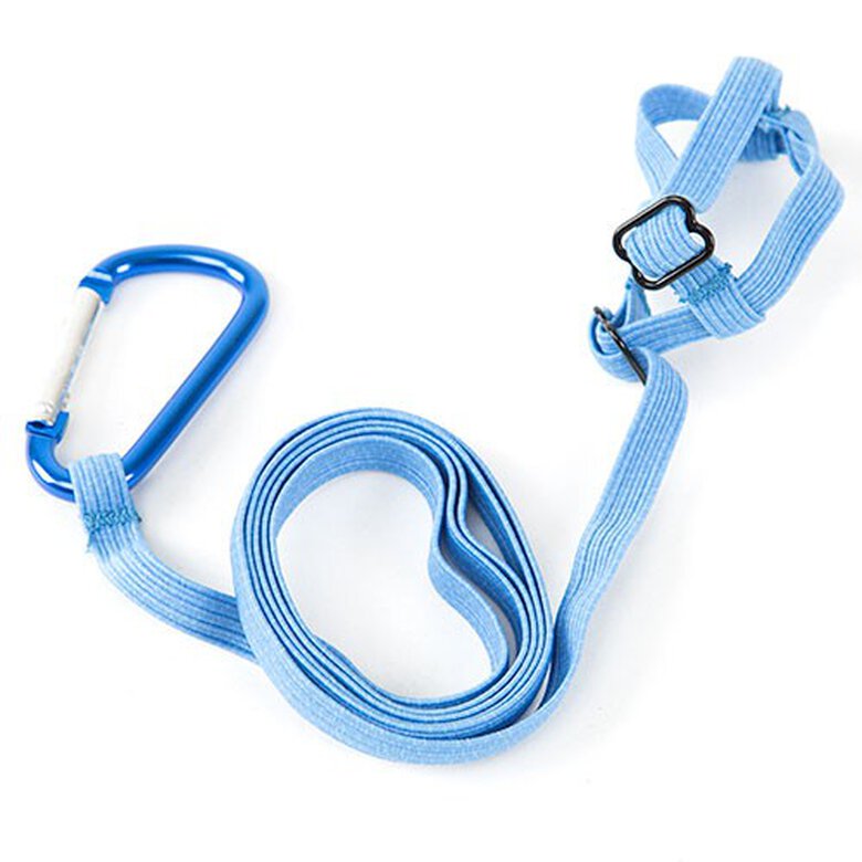 TK-Pet Peitoral com Trela Azul para ninfas,  Imagem número 1 TK-Pet arnés con correa para ninfa Imagem número 1