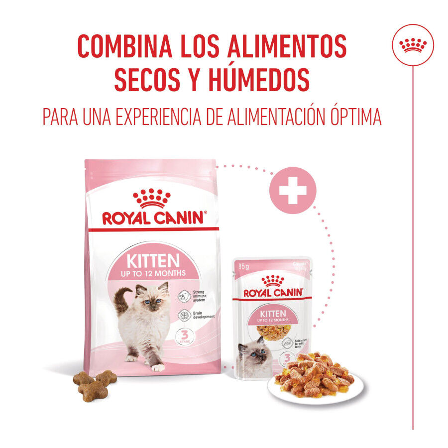 85 g Royal Canin Kitten alimento h&uacute;mido em gelatina saquetas para gatinhos, , large Imagem n&uacute;mero 5