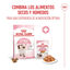 85 g Royal Canin Kitten alimento húmido em gelatina saquetas para gatinhos, , large Indicador imagem número 5