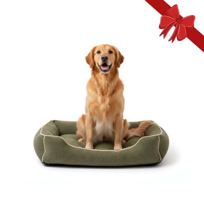 Wonder Christmas Cama Castanha de Natal para Cães,  Imagem número 1 Wonder Christmas Cama Castanha de Natal para Cães, , large Imagem número 1