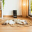 Cecotec Pumba 6000 Purrfect Meal Comedouro automático inteligente para cães e gatos, , large Indicador imagem número 10