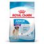 15 kg Royal Canin Junior Giant ração para cães, , large Indicador imagem número 1