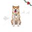 Wonder Christmas Ouri&ccedil;o Peluche para c&atilde;es, , large Indicador imagem n&uacute;mero 1