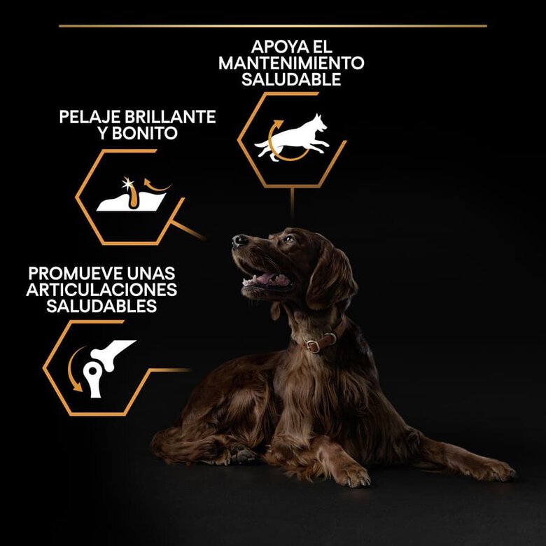 14 kg Pro Plan Large Athletic Adult Frango ração para cães,  Imagem número 3 14 kg Pro Plan Large Athletic Adult Frango ração para cães, , large Imagem número 3