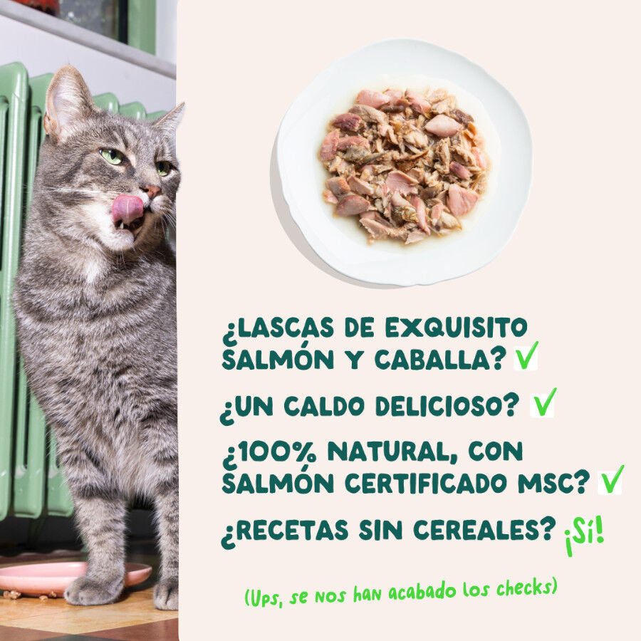 70 g Edgard & Cooper Filetes de Salm&oacute;n y Ceballa Lata para gatos, , large Imagem n&uacute;mero 4
