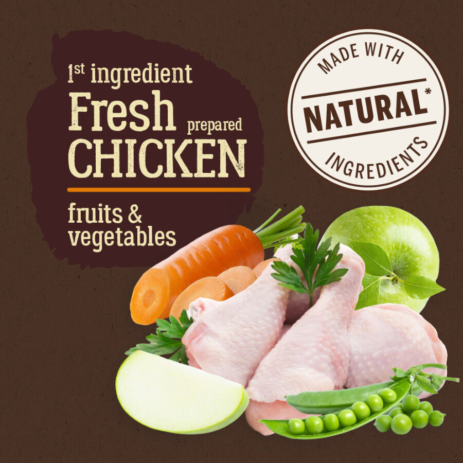 12 kg True Origins Pure Grain Free Senior Ra&ccedil;&atilde;o de frango para c&atilde;es, , large Imagem n&uacute;mero 2