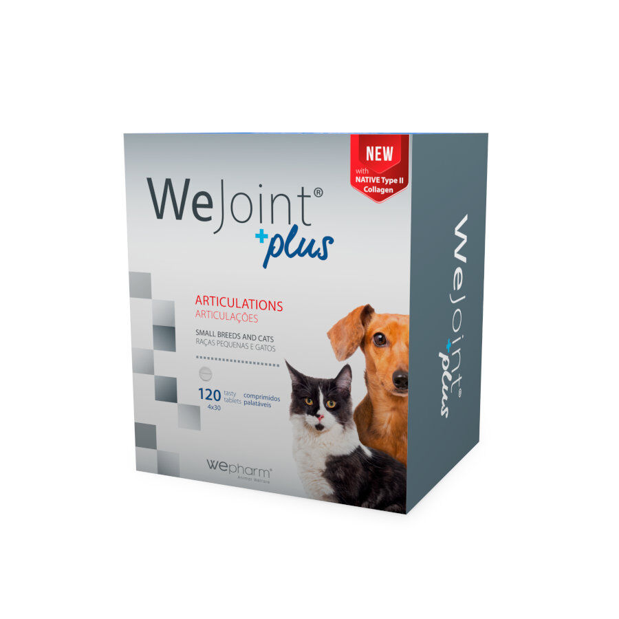 Wepharm Wejoint Plus Ra&ccedil;as Pequenas Suplemento articular para c&atilde;es e gatos, , large Imagem n&uacute;mero 1