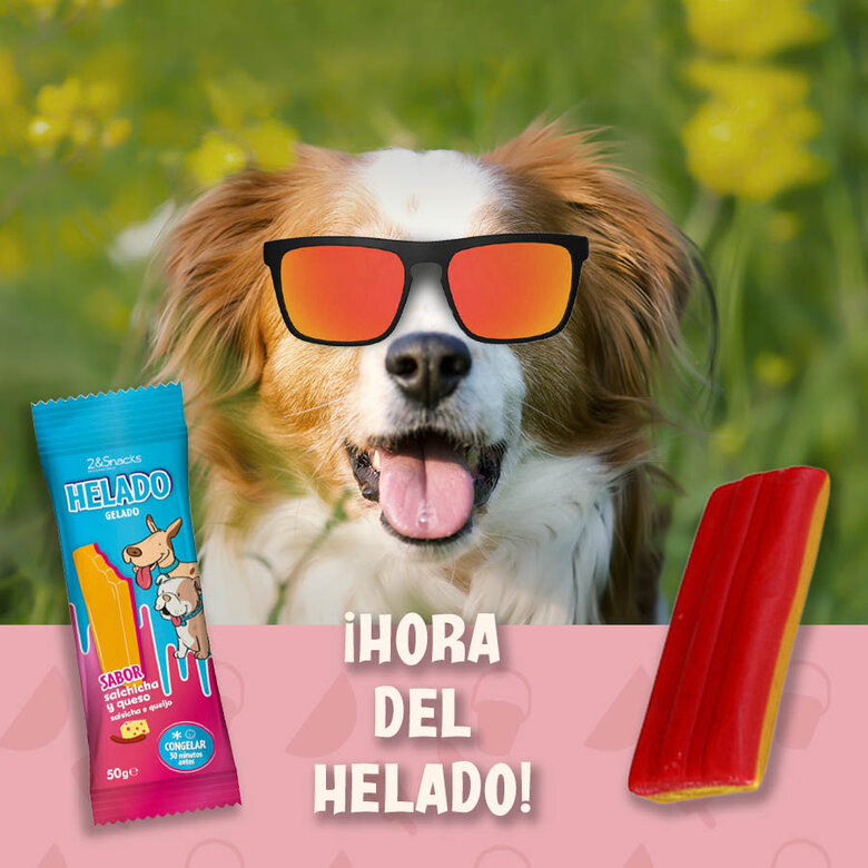 1 ud. 2eSnacks Gelado de Salsicha e Queijo para cães ,  Imagem número 2 1 ud. 2eSnacks Gelado de Salsicha e Queijo para cães , , large Imagem número 2