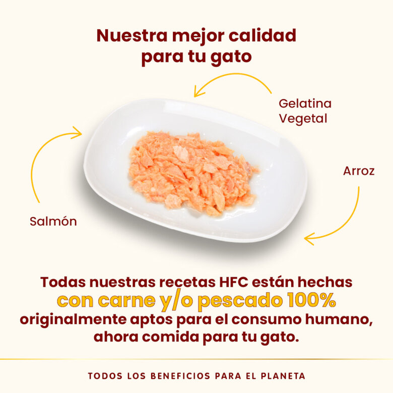 70 g Almo Nature HFC Jelly Salmão em gelatina lata para gatos,  Imagem número 3 70 g Almo Nature HFC Jelly Salmão em gelatina lata para gatos, , large Imagem número 3