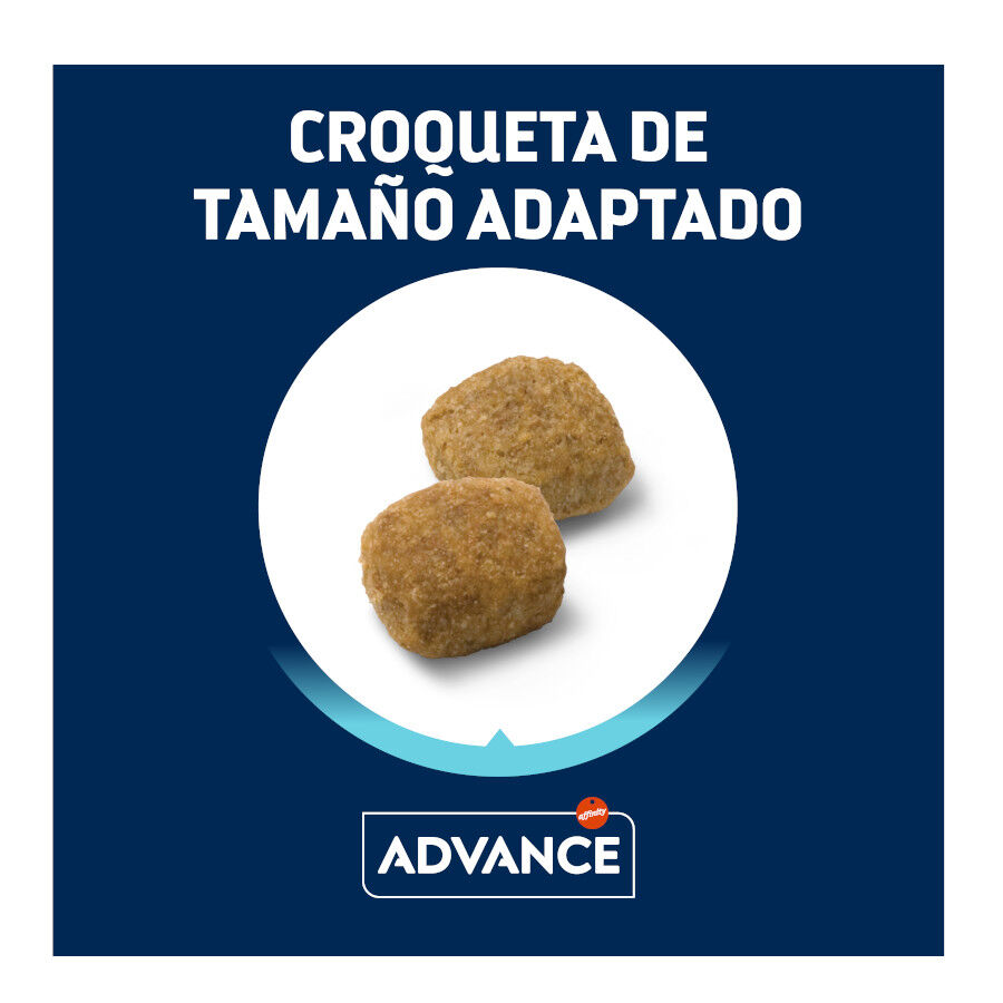 12 kg Advance Active Defense Medium Light Frango e Arroz ra&ccedil;&atilde;o para c&atilde;es, , large Imagem n&uacute;mero 3