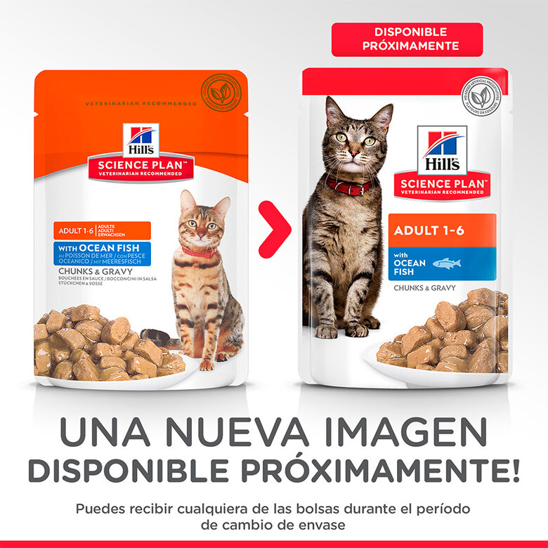comida_humeda_gatos_hills_bolsitas_adult_pescado_newpack_transicion_68103_M Imagem número 4 85 g Hill's Science Plan Adult Peixe saqueta para gatos, , large Imagem número 4