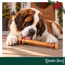 Wonder Christmas Osso Gigante de Couro Prensado Snacks para C&atilde;es