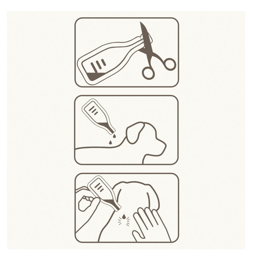 Beaphar Caniguard Duo Pipetas Antiparasit&aacute;rias para c&atilde;es muito grandes, , large Imagem n&uacute;mero 4