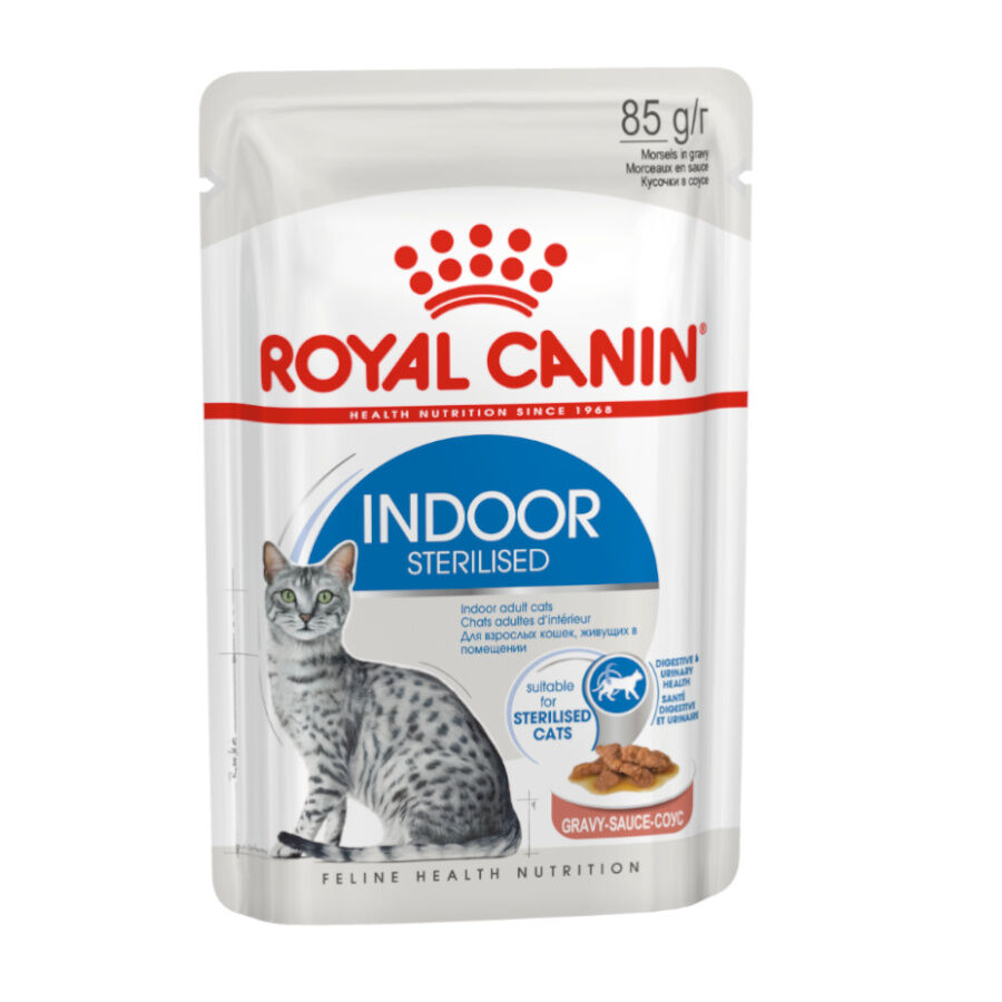 85 g Royal Canin Indoor Sterilised saqueta em molho para gatos, , large Imagem n&uacute;mero 1