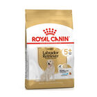 Royal Canin Ageing Labrador +5 12 kg image number null