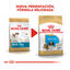 1.5 kg Royal Canin Puppy Shih Tzu ração para cães, , large Indicador imagem número 2