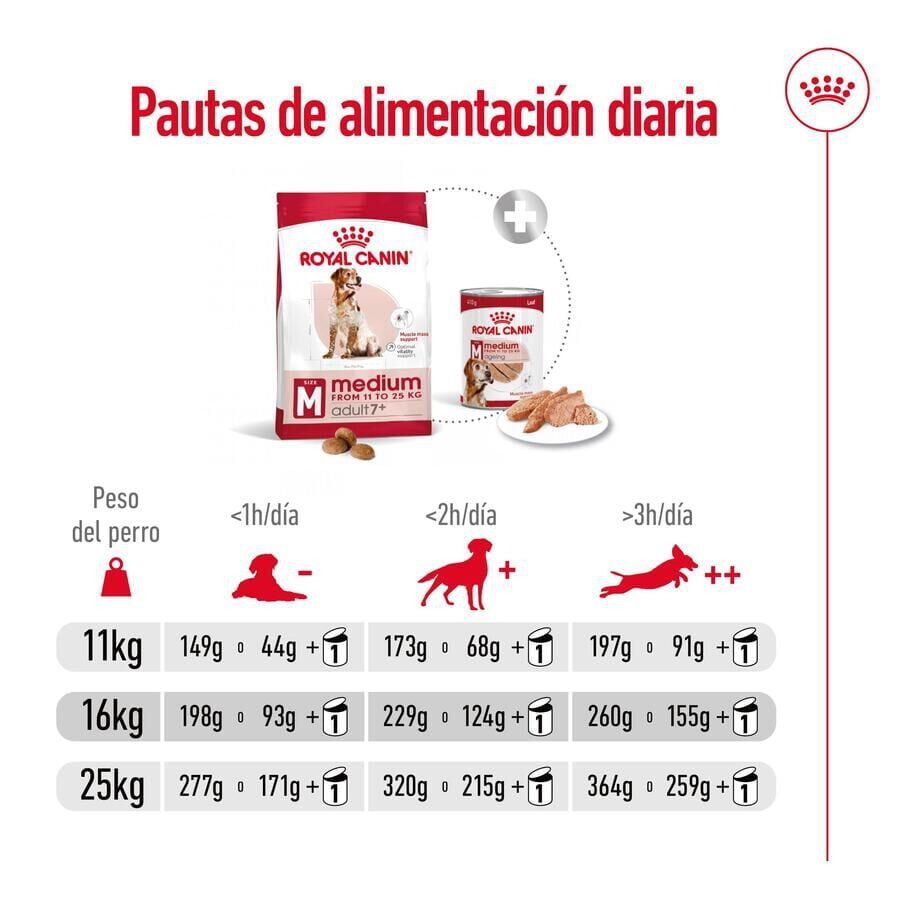 15 kg Royal Canin Medium 7+ Adult ra&ccedil;&atilde;o para c&atilde;es seniores, , large Imagem n&uacute;mero 9